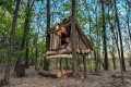 Building a Cozy and Safe Tree Shelter.