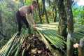 Survival Solo Shelter in the Jungle | 