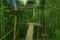 Building a Luxury Bamboo Treehouse