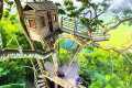 Built a Multi Level Treehouse with