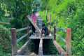 Start a better life: DAU quickly