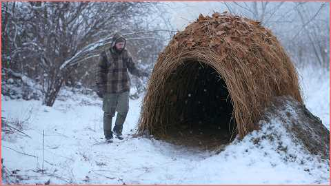 Top 5 Survival Bushcraft Shelters You Can Build in the Wild