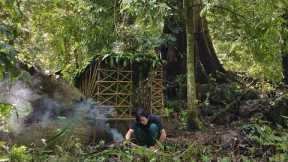 Jungle Survival: 🪓🏹🔥 Building a Shelter on a Fallen Tree  & Setting Wire Traps