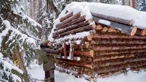 Survival in -45°C  Building and Defending a Cabin in the Wilderness