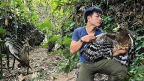 CEO returns to the primeval forest using primitive skills to trap eagles,fishing, cooking - survival