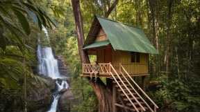 Building A Tree House Fast - Survival Camping and Cook, Relax with Tree House