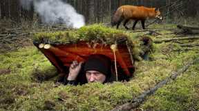 Building a Secret Underground Survival Shelter with a Periscope | Bushcraft Dugout