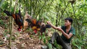 life alone in the wilderness, traces left by wild chickens, set traps, gardening in the wild