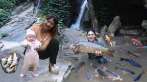 Catching stream fish with forest leaves, nutritious stream fish dish for your beloved daughter