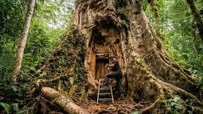 Build a Hidden Survival Shelter Inside a Giant Tree | Primitive Survival Skills