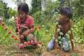 Amazing Jungle Survival With Mom