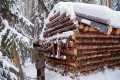 Survival in -45°C  Building and
