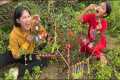 Amazing Jungle Survival Skills |