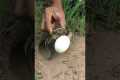 Survival Skills: SIMPLE ideas and