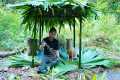Wandering In The Jungle, Making A