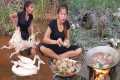 Survival skills, Catch quail in