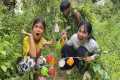 Amazing Jungle Survival Skills  Smart 