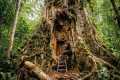 Build a Hidden Survival Shelter