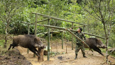 Building a solid bamboo house frame, future project, survival skills