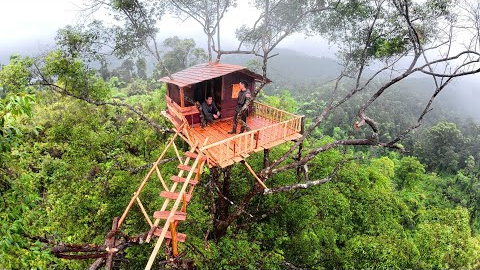 Touching the Clouds — Building a Survival House Where Only Birds Dare to Fly | bushcraft skills