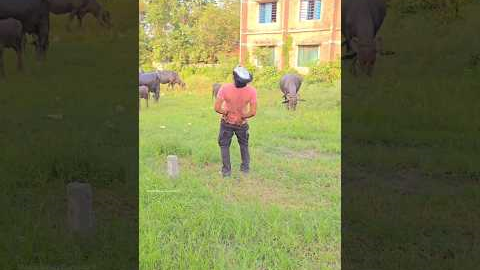 Building Wooden Log Cabin in Forest 🌲🥳👌😱 | Survival Hause Step by Step