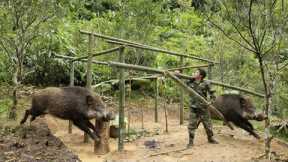 Building a solid bamboo house frame, future project, survival skills