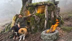 Living Inside a Hollow Tree | Bushcraft Shelter, Fire Cooking & Survival Skills