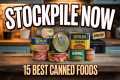 15 Best Canned Foods To STOCKPILE