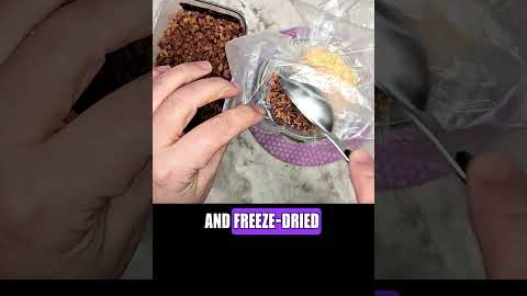 This Jar Trick Changes Everything About Emergency Meals #prepperpantry #freezedried  #mealsinajar