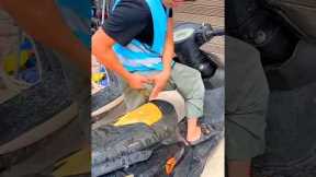 Building Wooden Log Cabin in Forest | Survival House Step by Step 9#shorts #facts