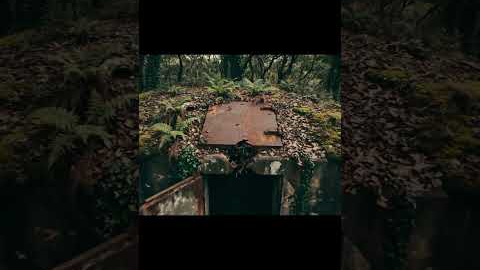 Abandoned WWII Bunkers Hidden in the Forest | High Altitude Drone Footage #history #ww2rebuilder