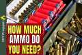 How Much Ammo Should You Stockpile?