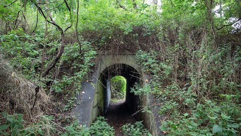 Exploring Abandoned Military Bunkers on Staten Island