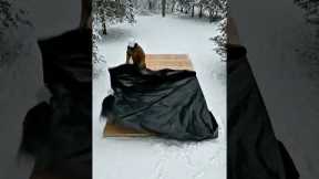 I Built a SECRET Luxury Ice Palace Underground!