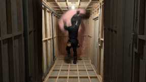 Hidden Backyard Entrance Transforms Into Underground Survival Room