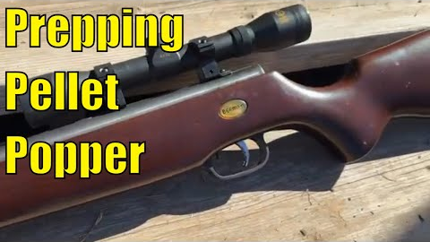 Air Rifles For PREPPERS-- Do they Earn Their Keep?