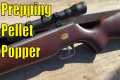Air Rifles For PREPPERS-- Do they