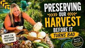 Prepping the Bungalow Pantry | Preserving Our Harvests | Food Preservation 